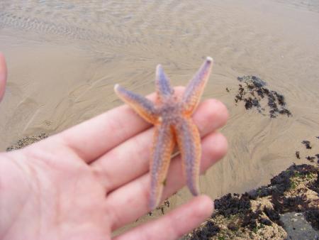 PAtricK